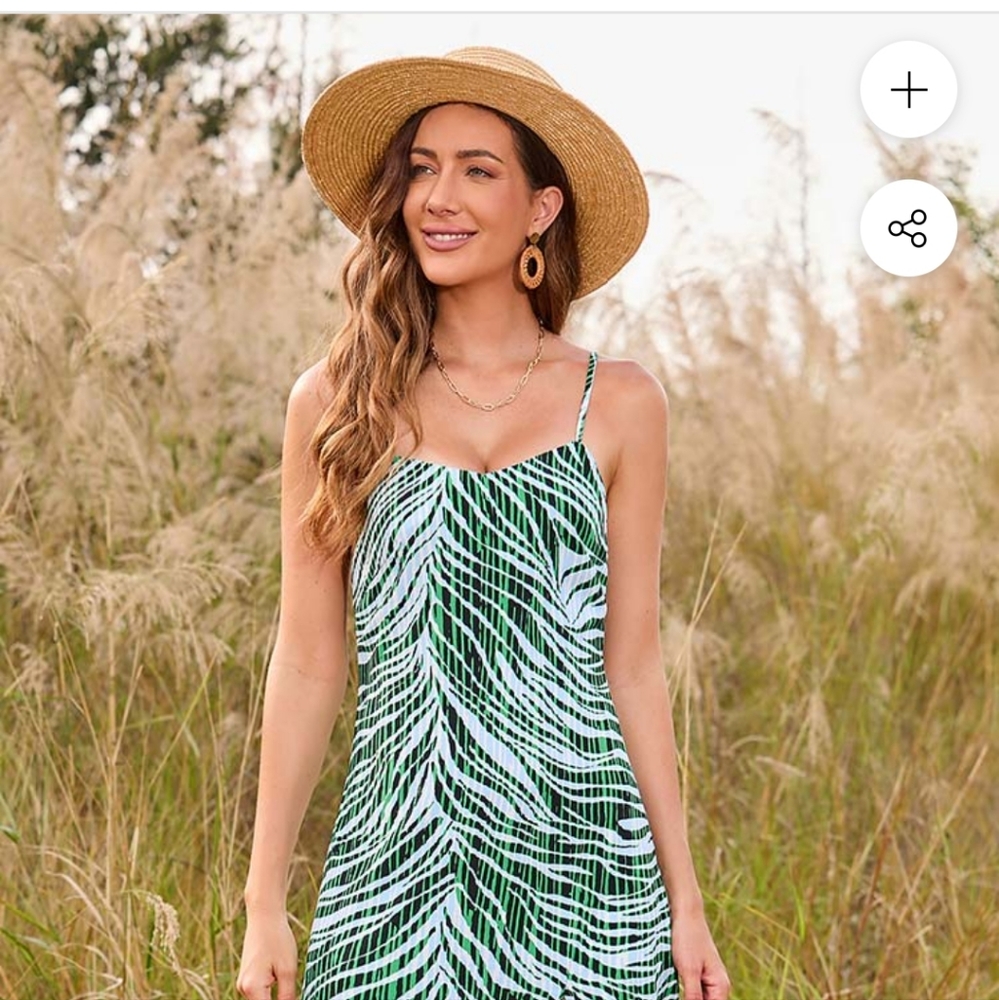 Isabel zebra striped dress